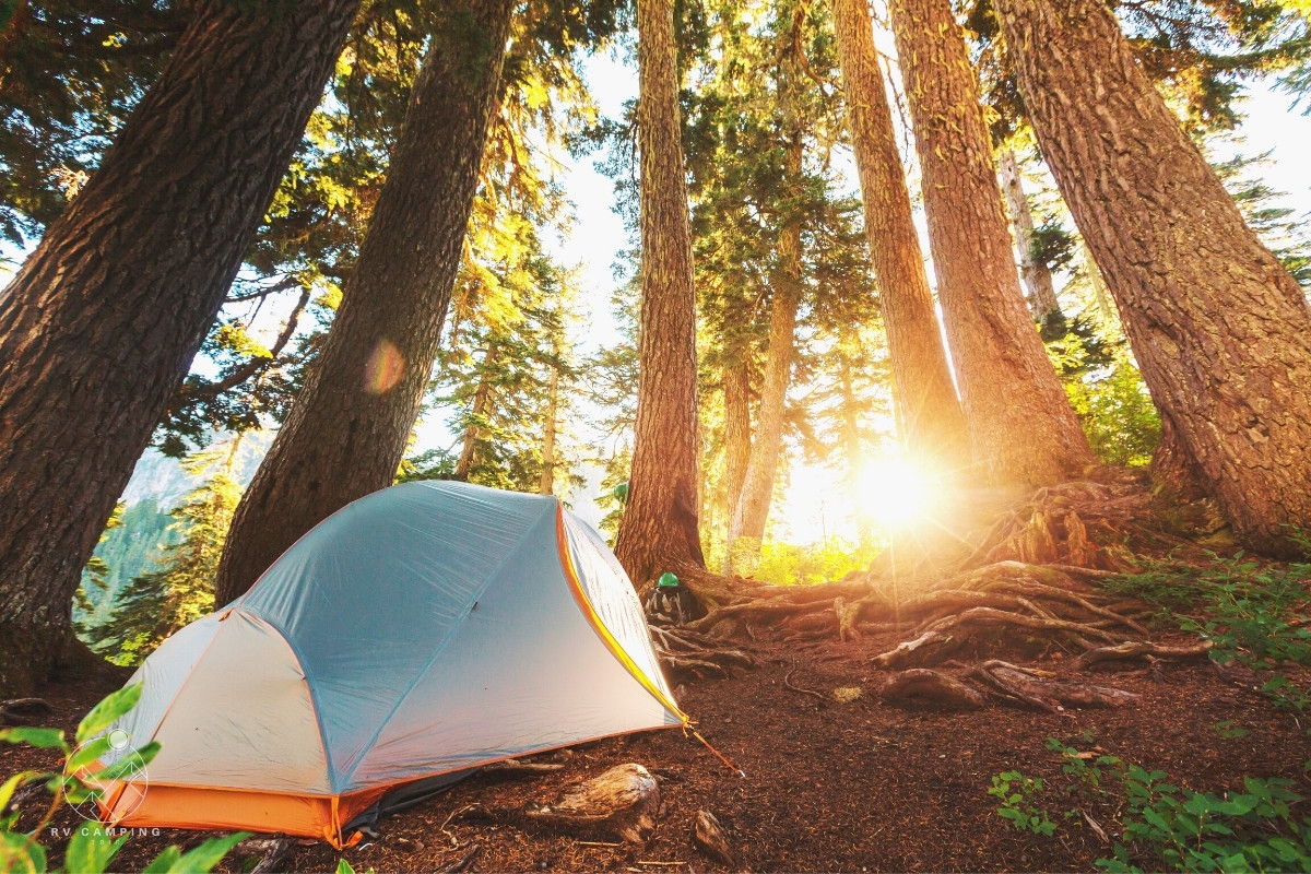 How to Choose a Backpacking Tent RV Camping Trip