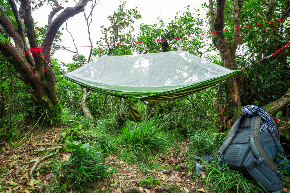Guide: Buying Mosquito Netting for Camping