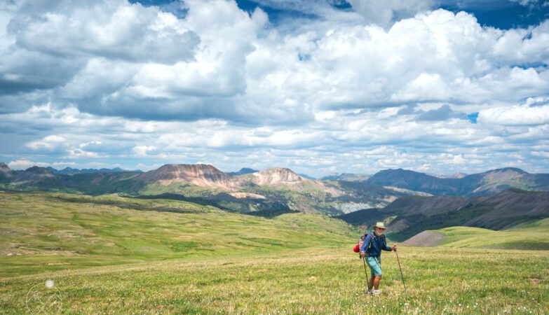 man wearing hiking shorts using trekking poles to ascend a grassy meadow on the Continental Divide in Colorado