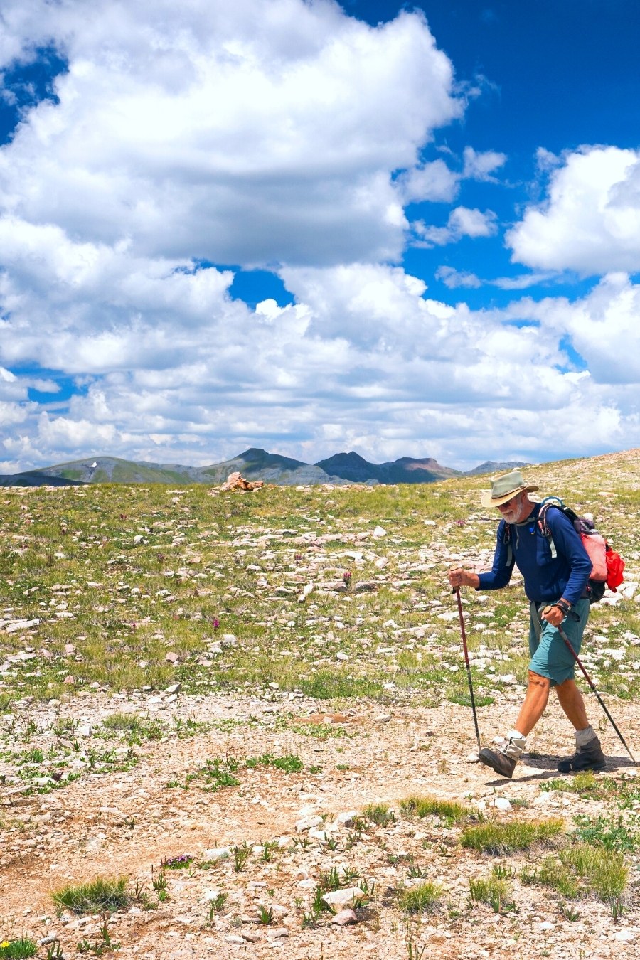 man wearing hiking shorts using trekking poles to ascend a grassy meadow on the Continental Divide in Colorado
